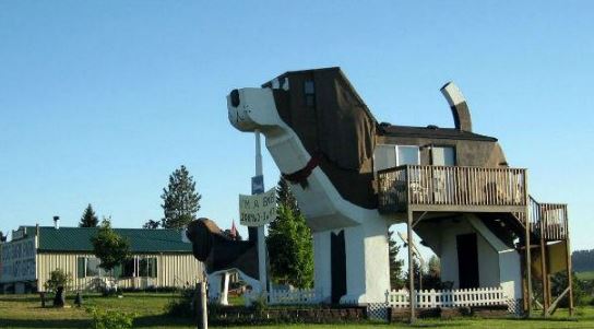 O prédio é um beagle gigantesco – o maior que existe – situado na cidade de Idaho. Um deck leva ao interior do au-au, onde os visitantes dormem e comem. A cabeça do cachorro é um espaço confortável, uma bela sala, onde mais gente pode dormir, e dá para se recostar na curva do focinho.